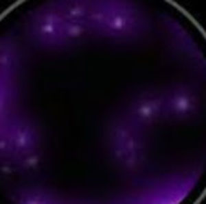 Meet your Posher, Como